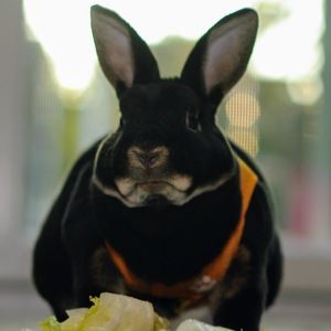 Meet your Posher, Jeffrey